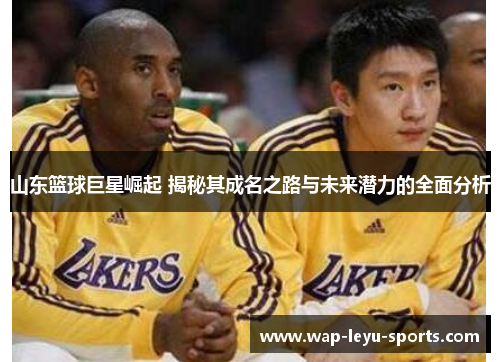 山东篮球巨星崛起 揭秘其成名之路与未来潜力的全面分析