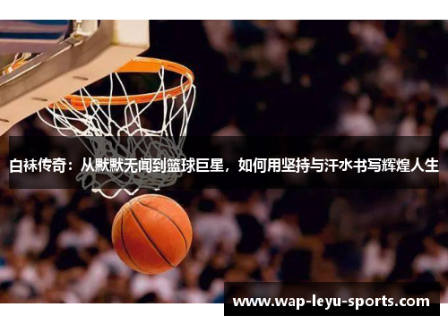 白袜传奇：从默默无闻到篮球巨星，如何用坚持与汗水书写辉煌人生