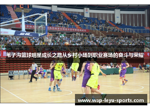 苇子沟篮球明星成长之路从乡村小场到职业赛场的奋斗与荣耀